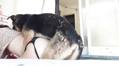 mi perro y yo:]