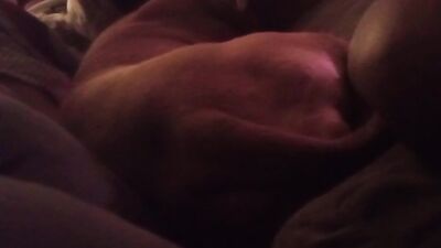 Couple and dog laying down on couch together