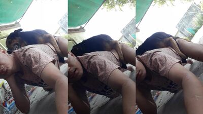 Mi perro y yo