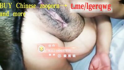 Fat Chinese bitch knotted with a black dog
