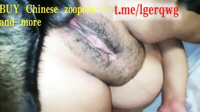 Fat Chinese bitch knotted with a black dog