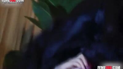 Gorgeous Girl Enjoys A Dog Fucking Session - Xxx Femefun
