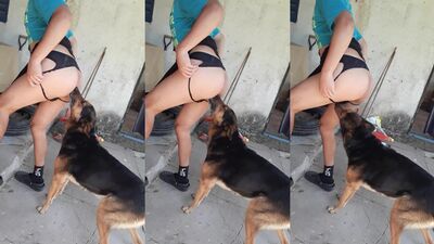 Previa con mi perro