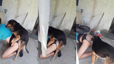 Mi perro yo