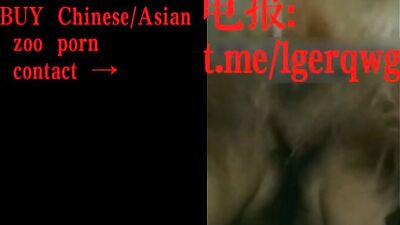 My Chinese wife got dog cum inside her