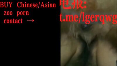 My Chinese wife got dog cum inside her