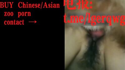 My Chinese wife got dog cum inside her