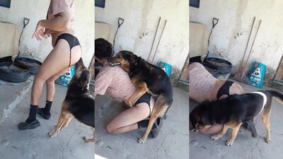 El sexo de mi perro