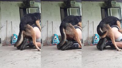 La de mi perro