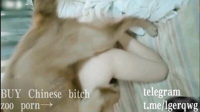 Chinese bitch got dog gangbang