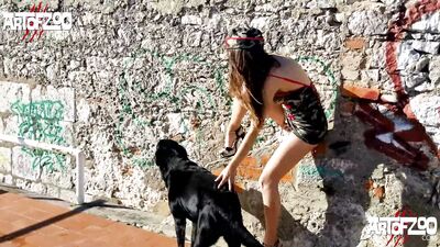Dogchaser - Josefina