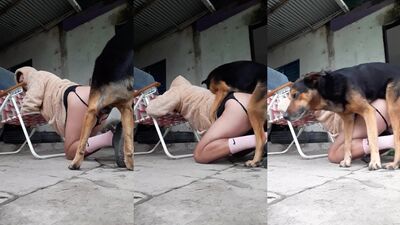 Beastly Exhibition: Boys Canine Crush Ends in Slobbering Slobber