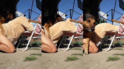 Puppy Love: Hot Girl Sucks Doggy Style