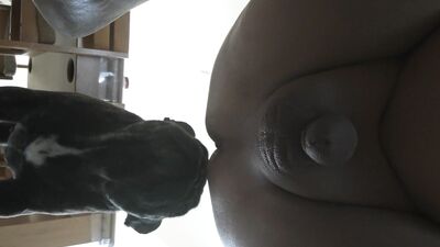 Petite Léche !!!