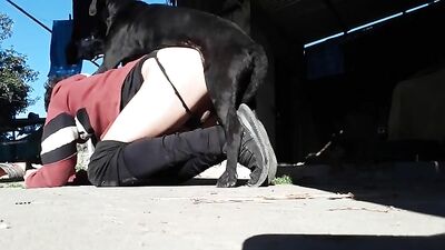 Hot Doggy Licks Her Lover