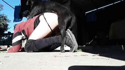 Hot Doggy Licks Her Lover