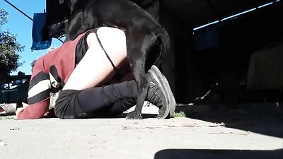 Hot Doggy Licks Her Lover