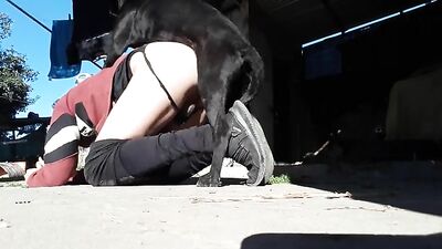 Hot Doggy Licks Her Lover