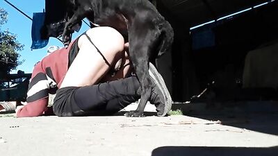 Hot Doggy Licks Her Lover