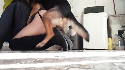 Mi perro me ama a