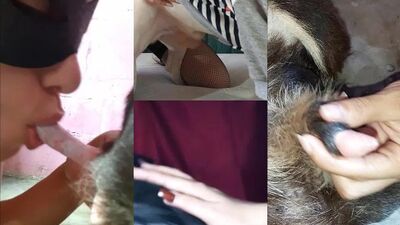 bestiality dog zoophilia perro