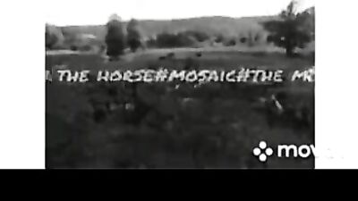 Nicki the horse/pussy road trip