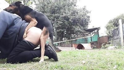 Mi perro me ama OK