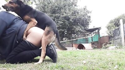 Mi perro me ama OK