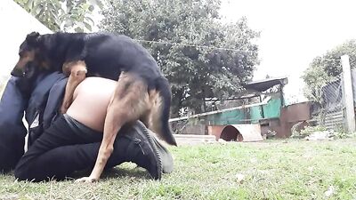 Mi perro me ama OK