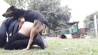 Mi perro me ama OK