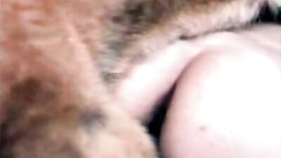 Pawsitively Blown Away - Cute Canine Cocks Her Owner