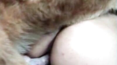 Pawsitively Blown Away - Cute Canine Cocks Her Owner