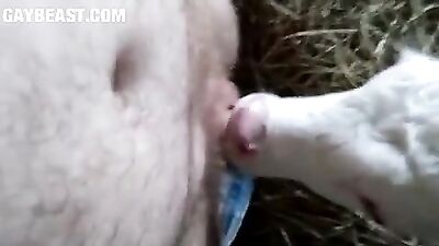 Petting Puppies Gets Naughty