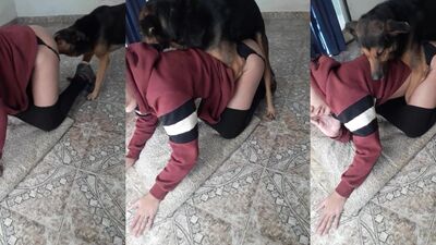Dirty Dog Lovers Dream - Girl Gets Pawsitively Railed
