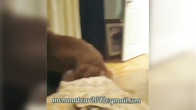 Mommabear gets drilled by k9