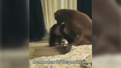 Mommabear gets drilled by k9