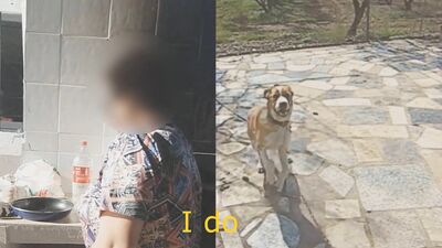 Follandose al perro para los amigos