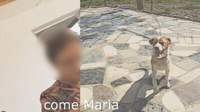 Follandose al perro para los amigos