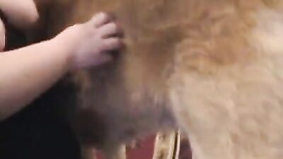 SABRINA WITH DINO