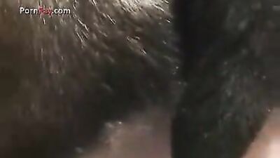 2 Girls Gets Knotted