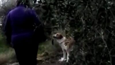 putilla con perro en el campo