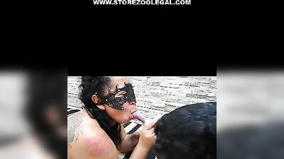 horse dog perro rat piggie