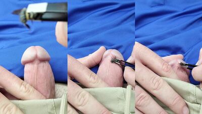 Bee Stings Cock