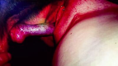 Puppy Love Turns Raunchy: Teen Sucks Her Brothers Furry Friend