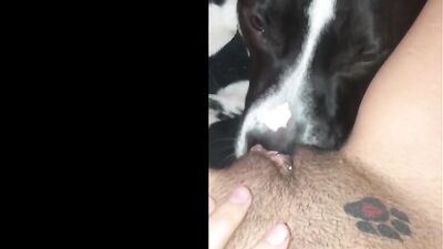 Puppy Love Turns Lewd as Hungry Hound Devours Sweet Pussy