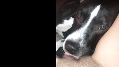 Puppy Love Turns Lewd as Hungry Hound Devours Sweet Pussy
