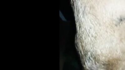 Brazillian Blondes Gone Wild - Dog Fucks & BJs in 2021 Pt 1