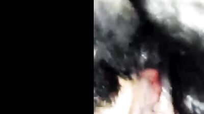 Wifes Shocking Pet Perversion - My K9 Lover Part 2