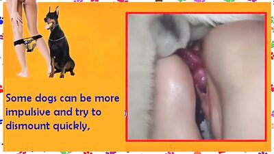 Manual for dog fuckers