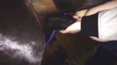 Hung Stallion Fucks Tight Hole in Steamy Gay Anal